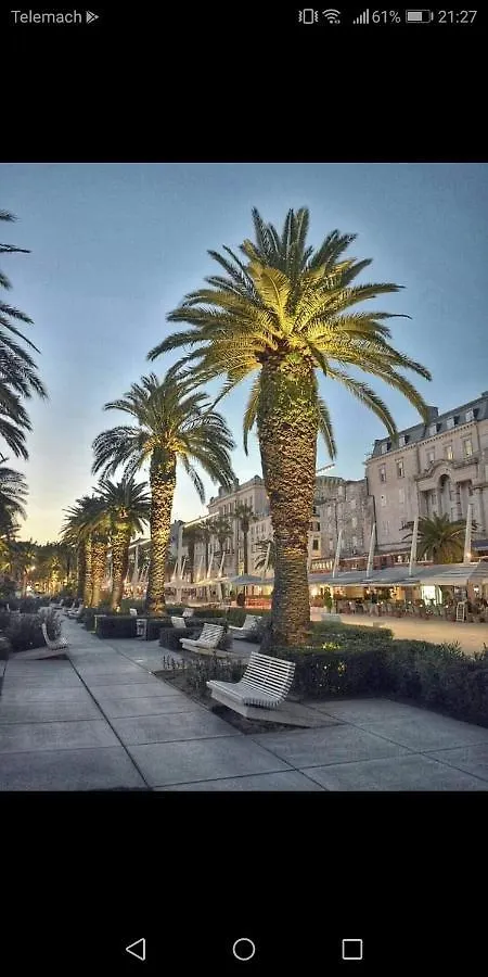 Split Studio Irisha